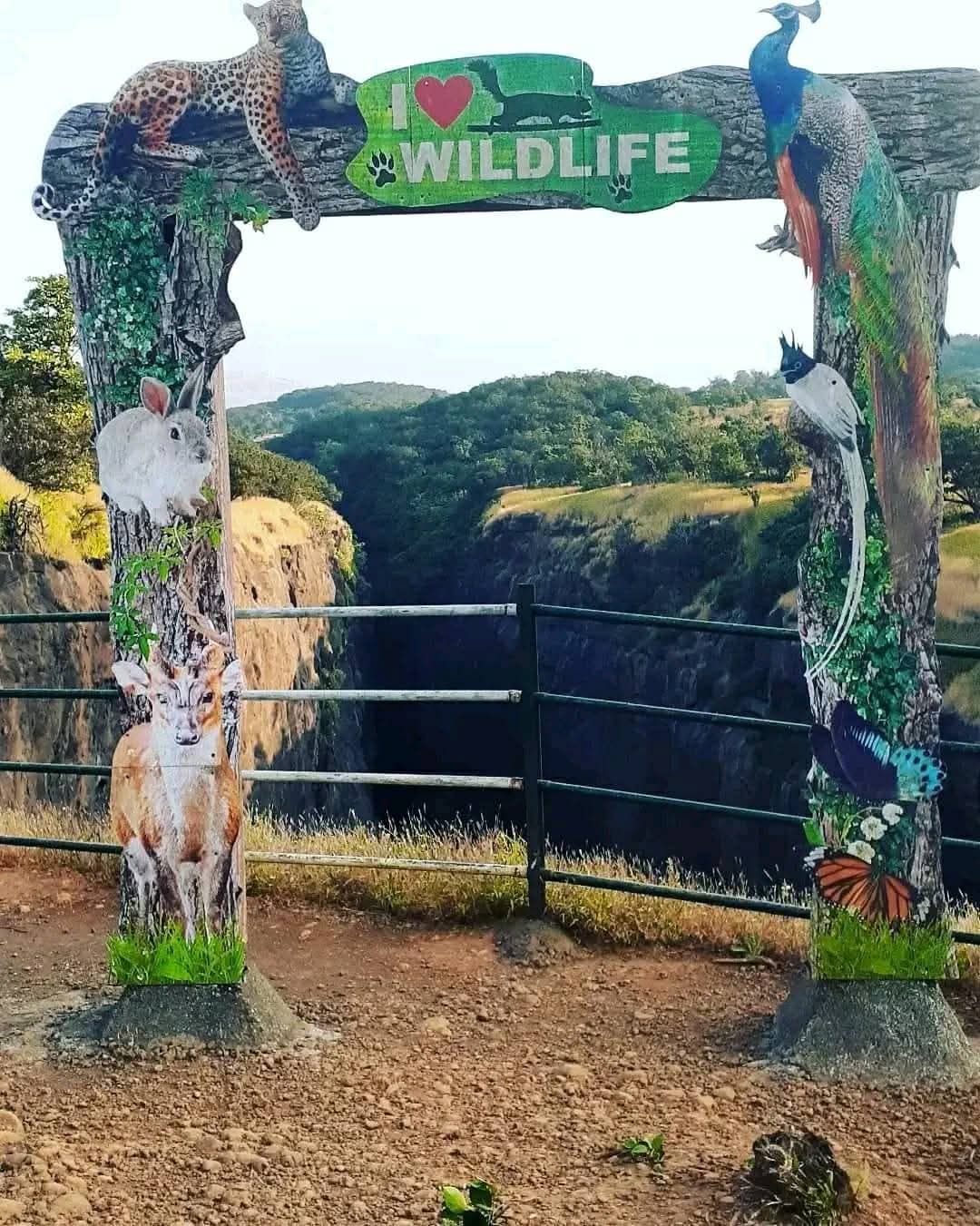 कॅम्पिंग टेन्ट